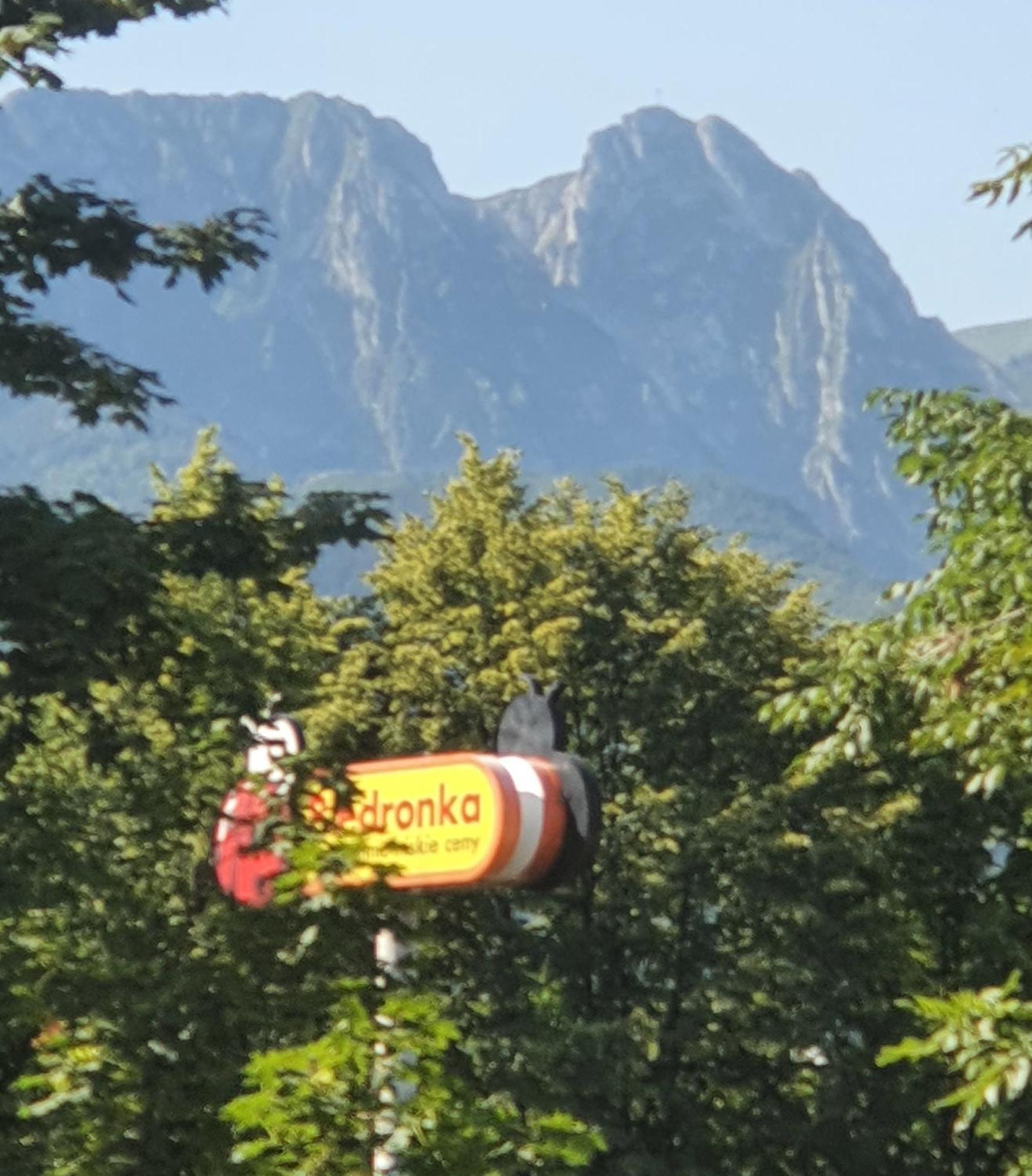 Apartament Orkisz Zakopane Rum bild